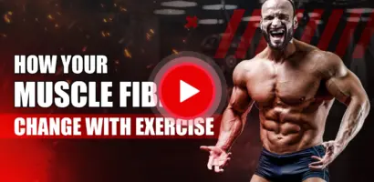 Ilustração mostrando como o exercício transforma diferentes fibras musculares para desempenho de força e resistência